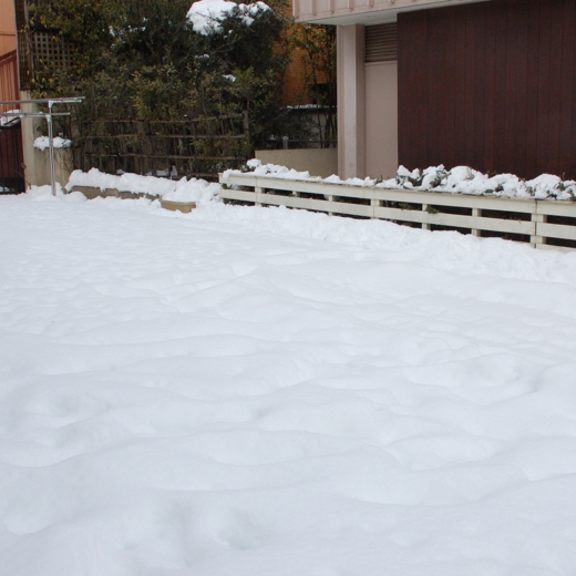 30cmほど雪が積もったショールーム裏