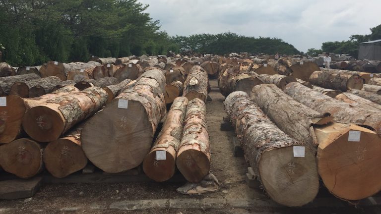 タモ材はこんな木材だ！【No.1310】 | 無垢材家具で温かい ...